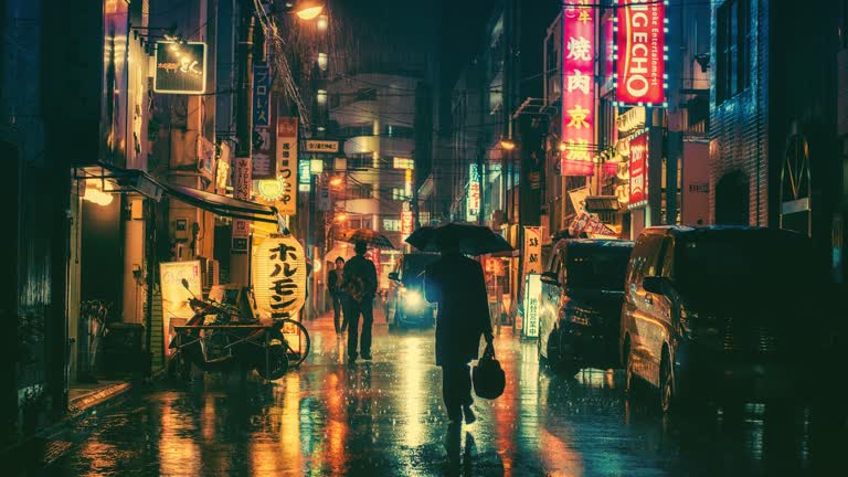 有一个人撑着伞在夜里走在街上
