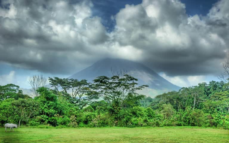 一匹马站在田野里,背景是一座山的照片